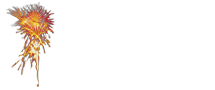 ACE Pyro, LLC